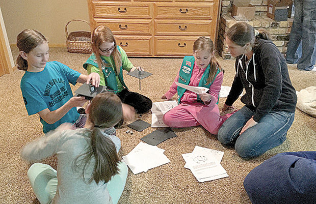 Bald Eagle Lake group sponsors zebra mussel program